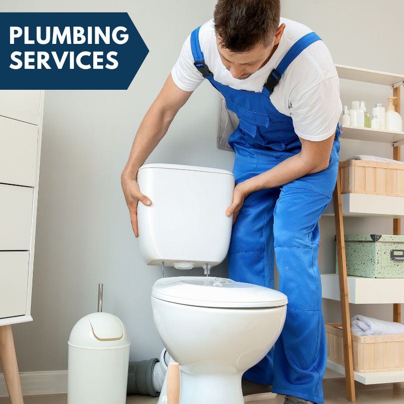 Plumbing Company in De Soto, IL